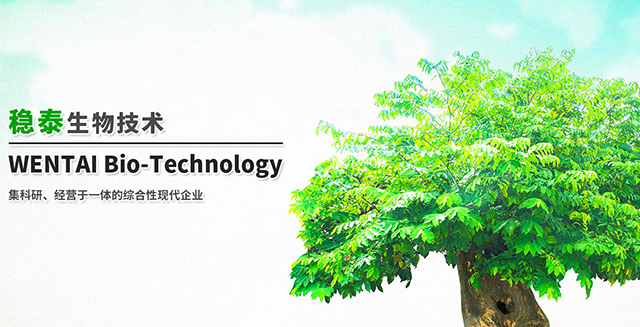 Shanghai Wentai Bio-technology